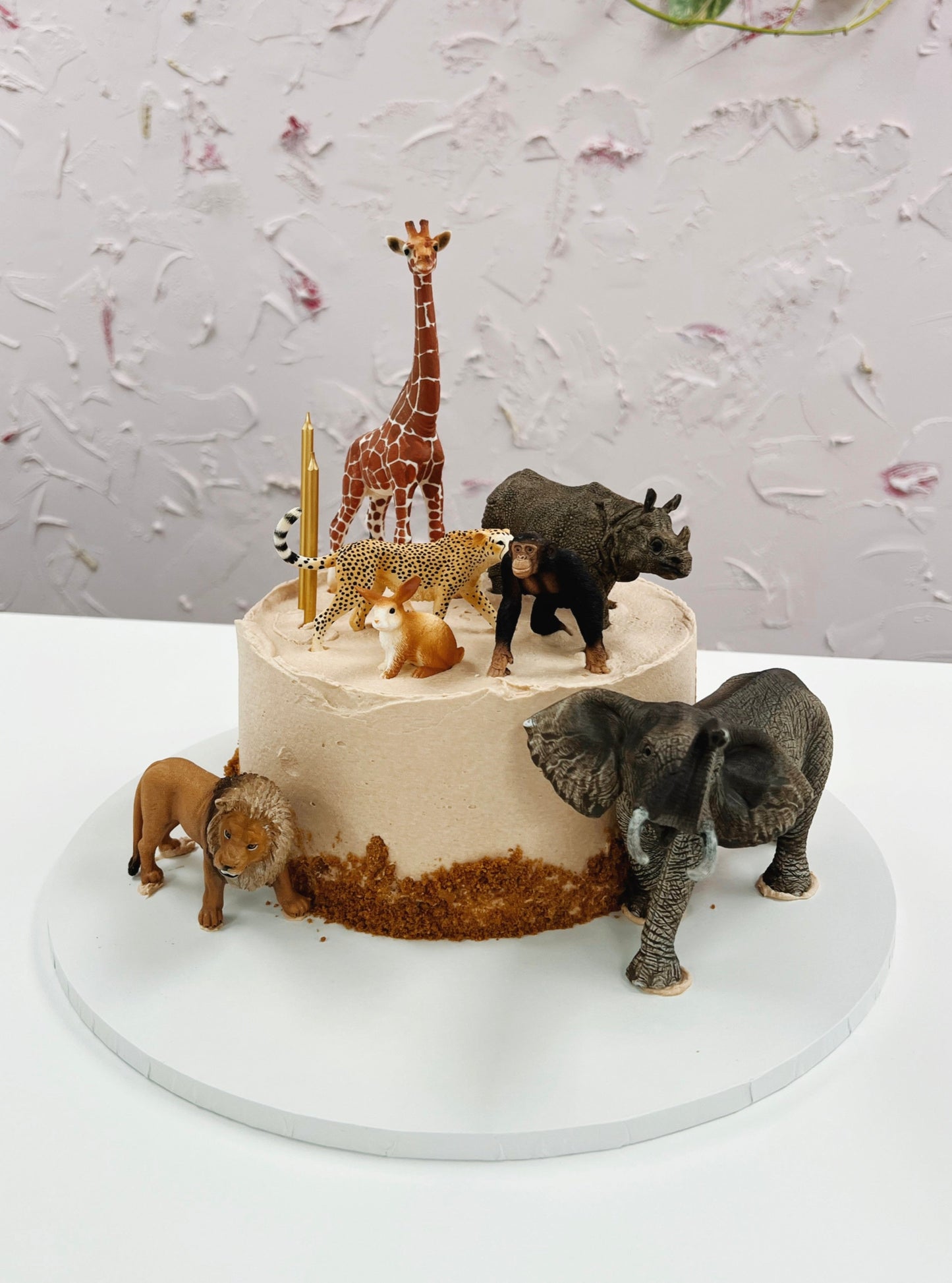 Basic Safari Cake